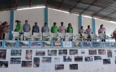 Arando memorias campesinas como mecanismo de protección y autoprotección en la zona de reserva campesina del valle del río Cimitarra