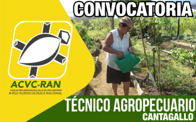 CONVOCATORIA: TÉCNICO AGROPECUARIO EN EL MUNICIPIO DE CANTAGALLO