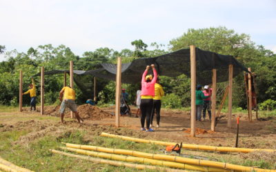 Solicitud de cotización de Insumos Agropecuario – Unión Temporal del Valle del Río Cimitarra
