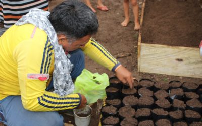 Solicitud de cotización de semillas– Unión Temporal del Valle del Río Cimitarra
